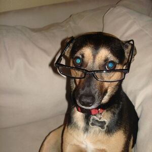 Meet your Posher, Evelyn